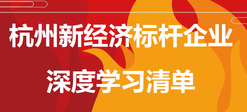 杭州新經(jīng)濟標(biāo)桿企業(yè)